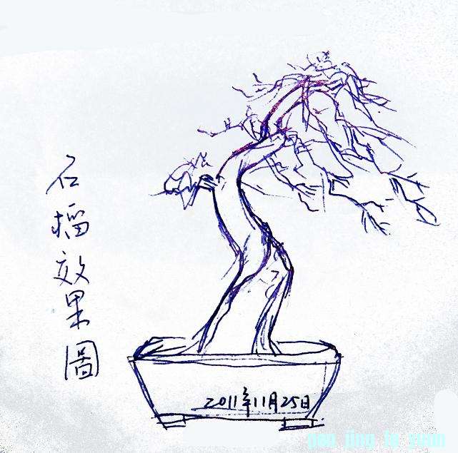 DSCN8371.JPG