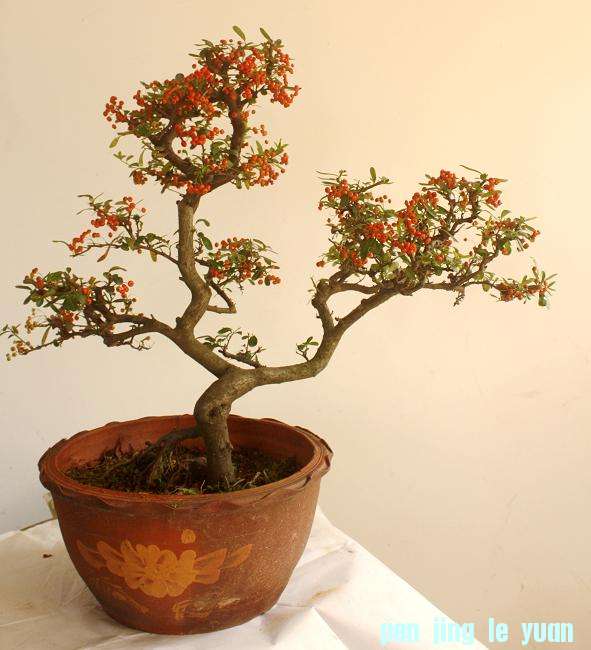 IMG4.JPG