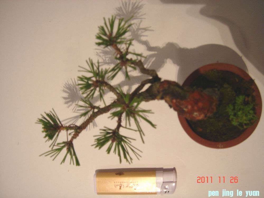 DSC00388.JPG
