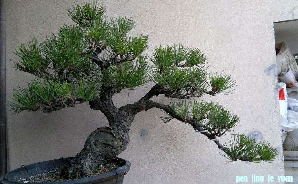 20111126007_1.jpg
