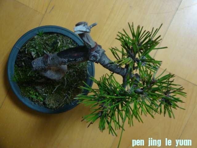 DSC06980.JPG