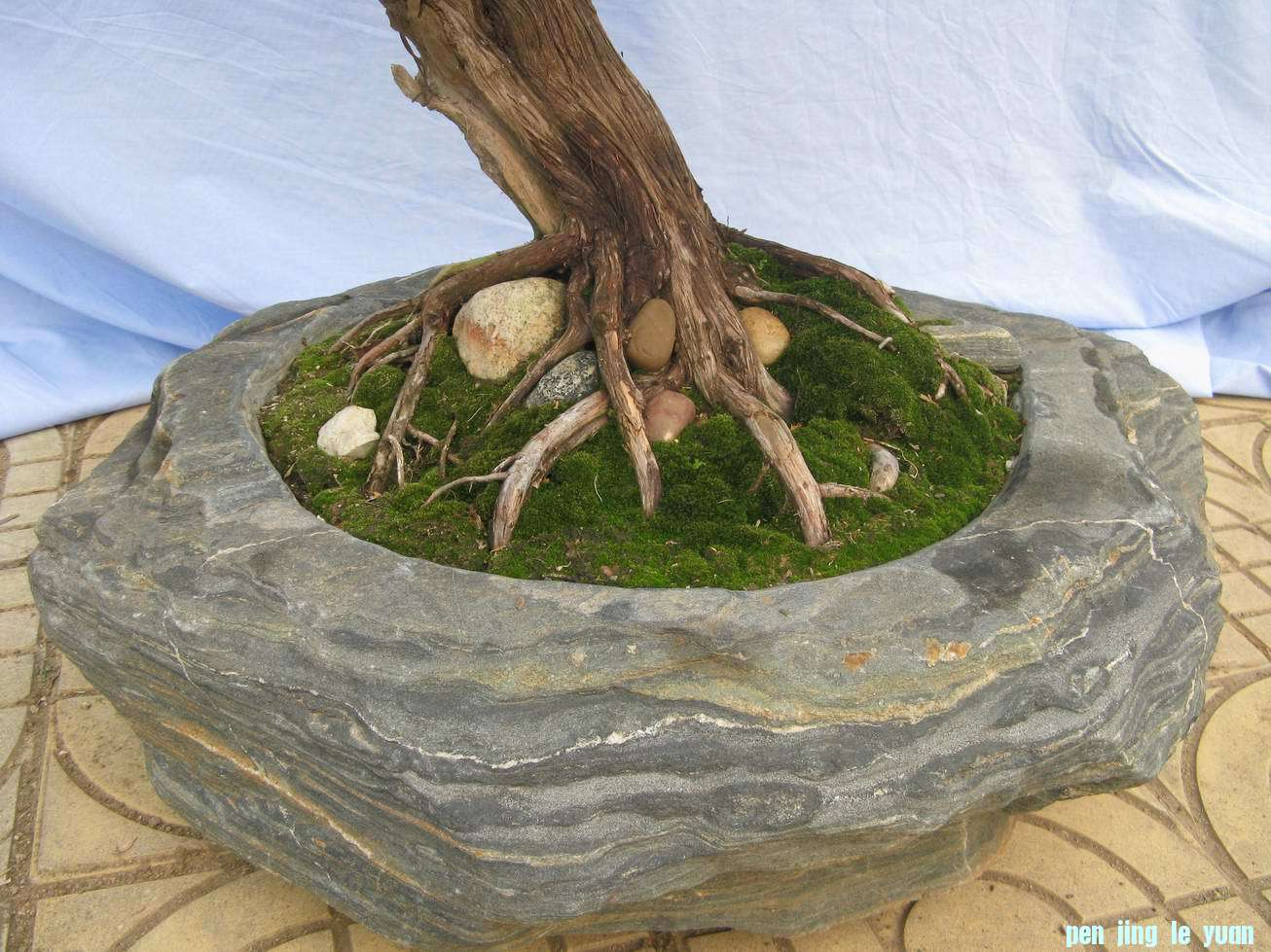 Ƭ 018.jpg