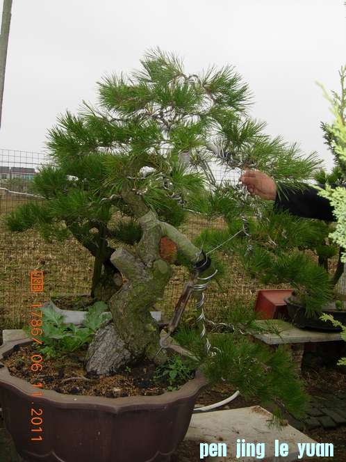DSCN4537.JPG