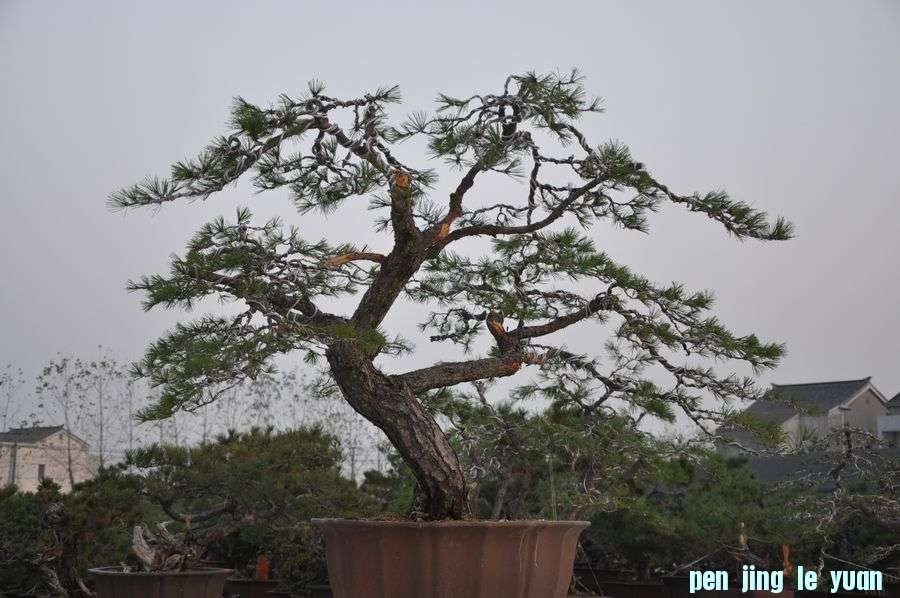 Ƭ 003.jpg