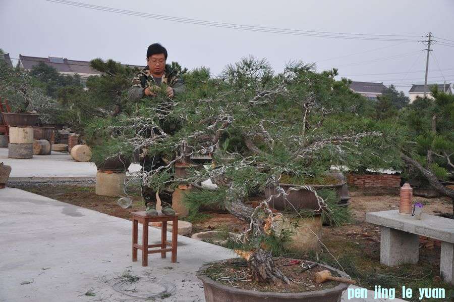 Ƭ 014.jpg
