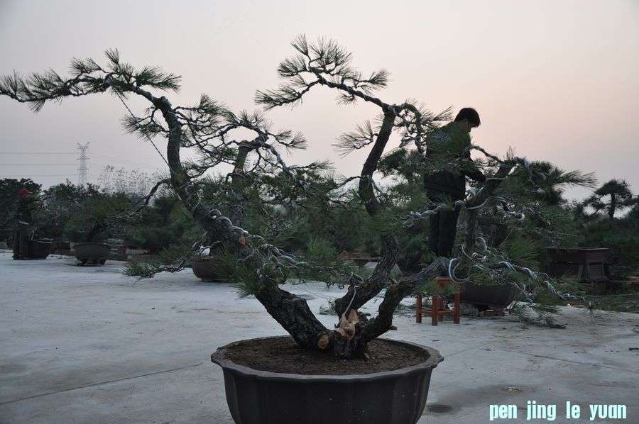 Ƭ 015.jpg