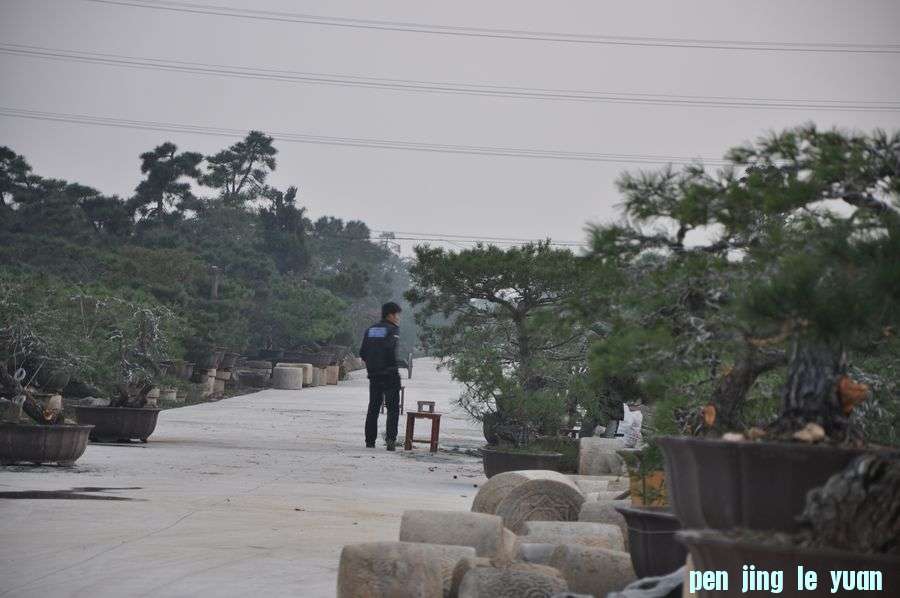 Ƭ 016.jpg