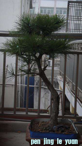 DSC00882.JPG