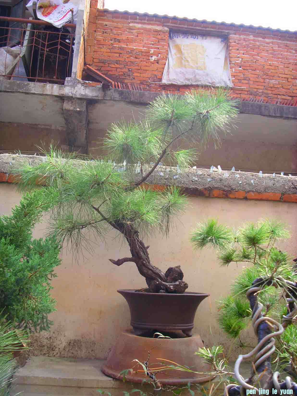 SDC12379.JPG