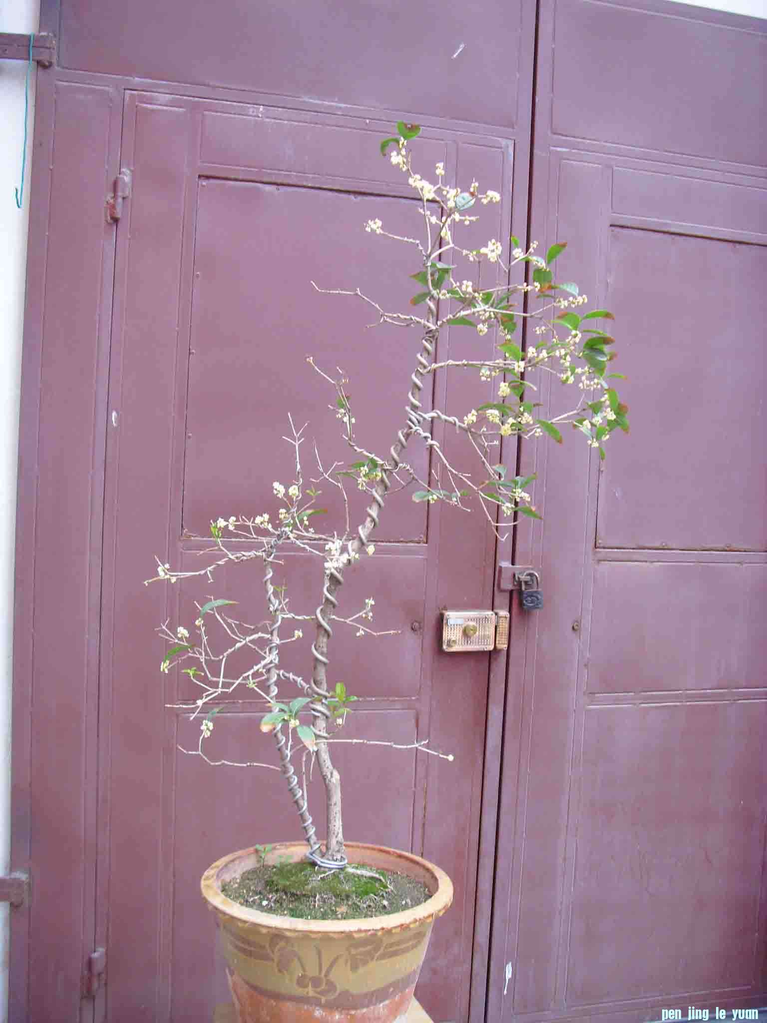 SDC12357.JPG