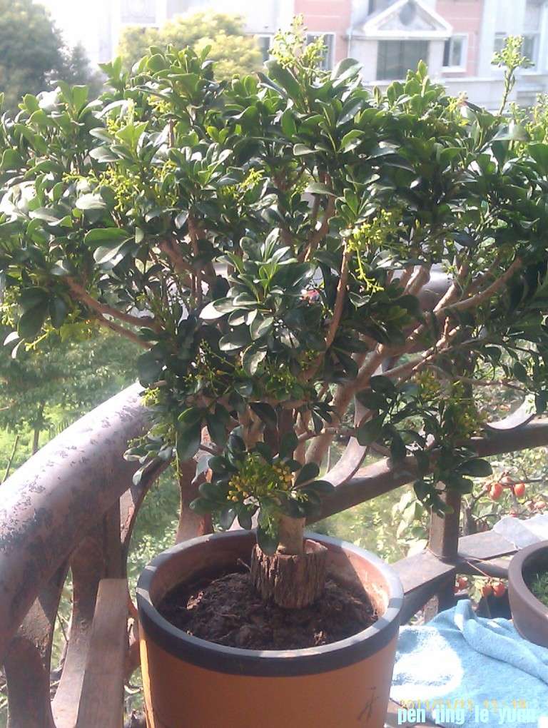 IMAG0432.jpg
