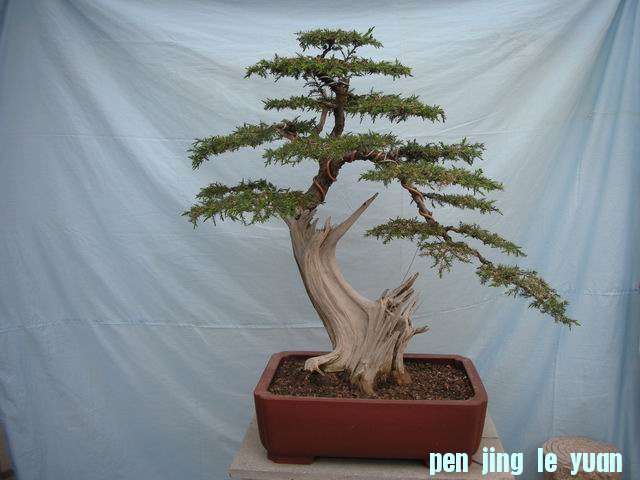 С DSCN3719.jpg