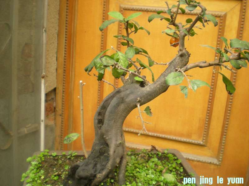 DSCN2162.JPG