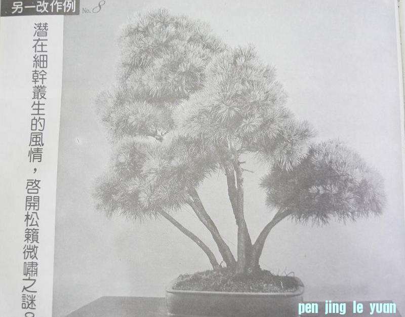 15.JPG