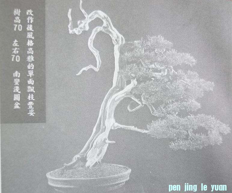 18.JPG