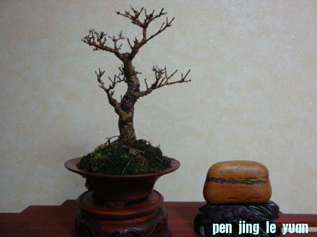 DSC07024.JPG