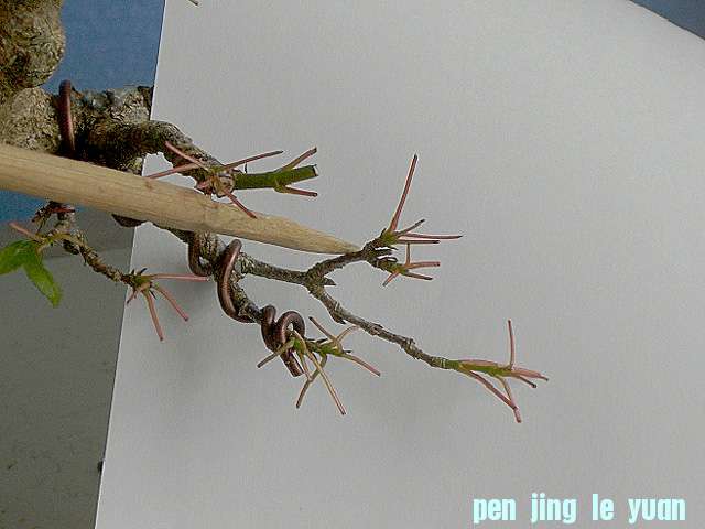 100609-121.jpg