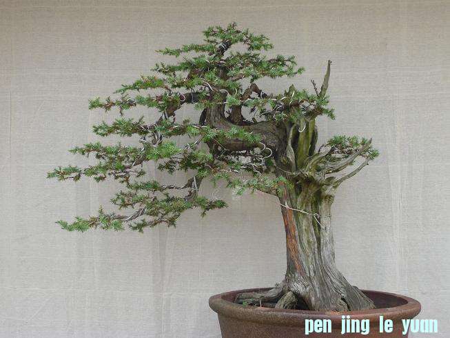 ��һ��أ���ָ����