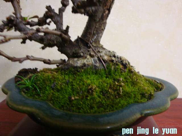DSC07040.JPG