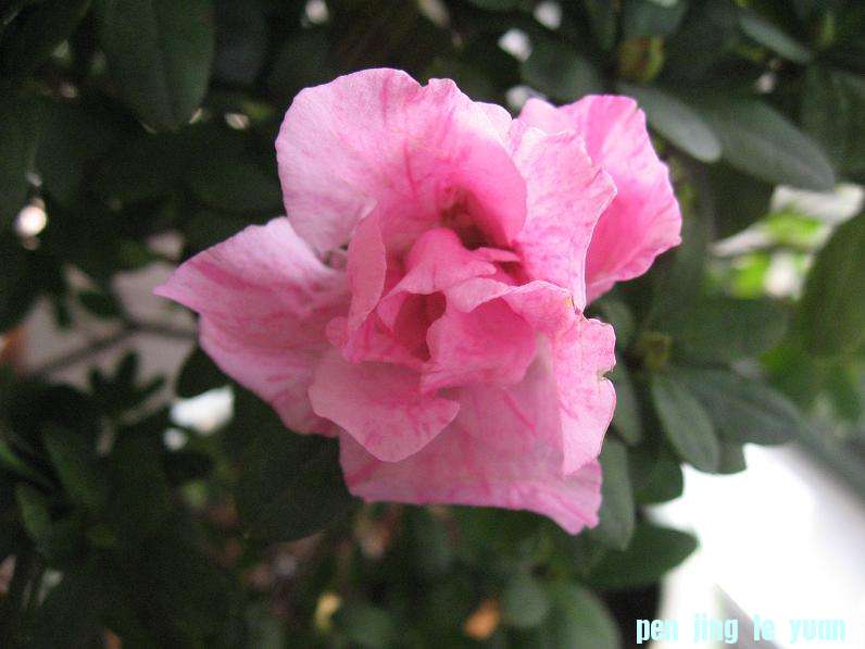 Ƭ 076.jpg