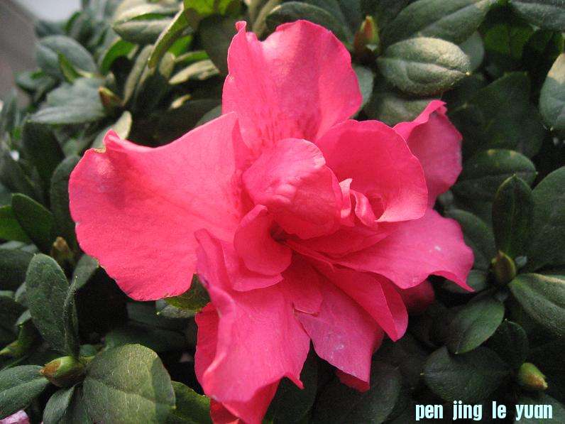 Ƭ 078.jpg