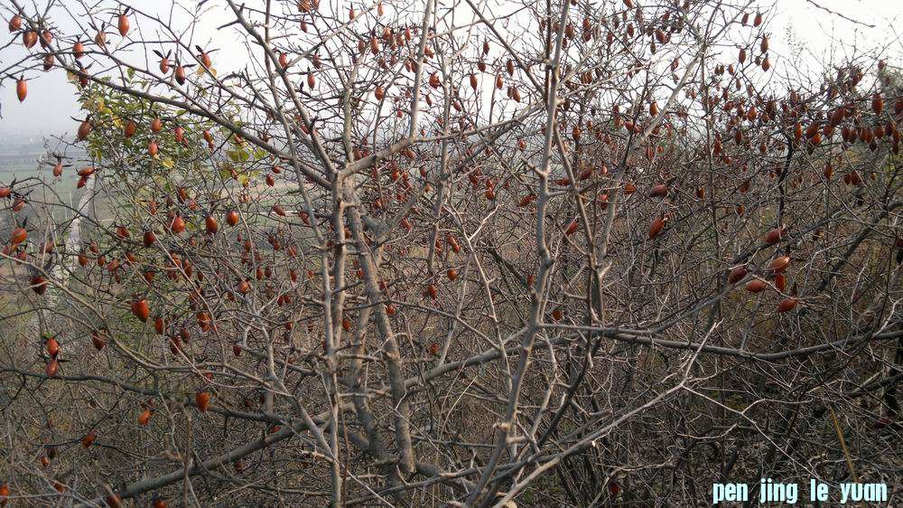 20111203035.jpg