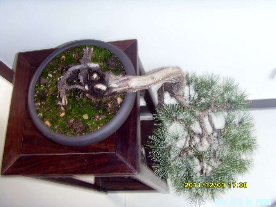 SDC12443.JPG