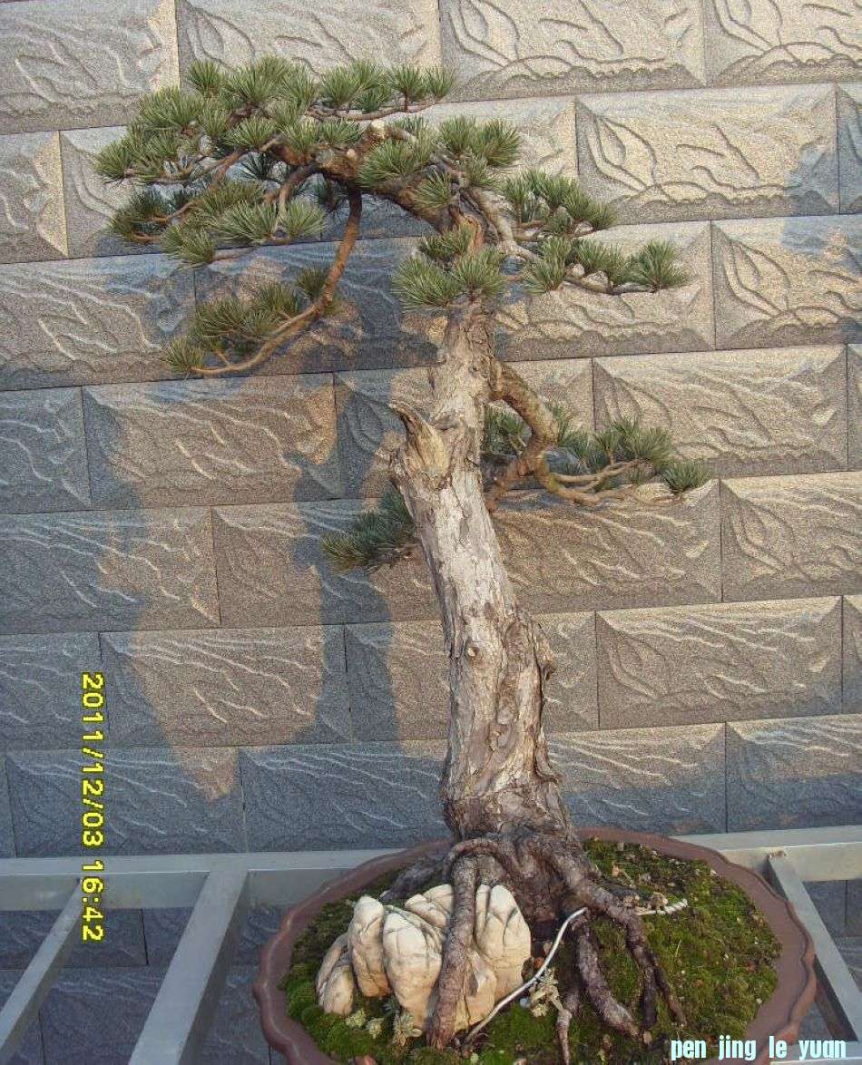 SDC12430.JPG