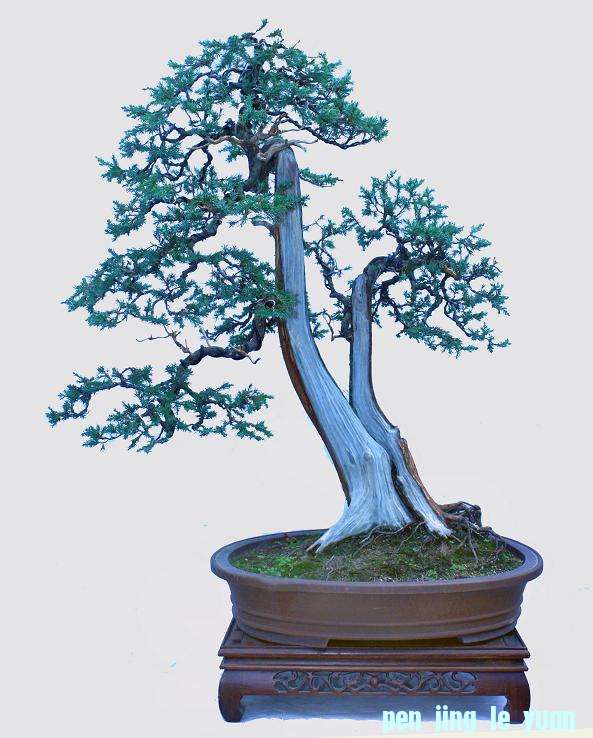 11����������,���������Ч��ͼ��