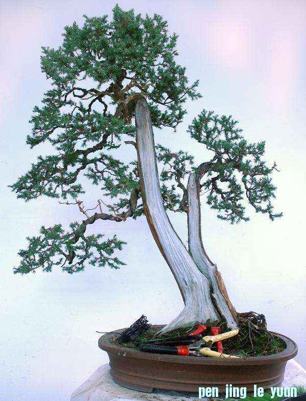 10�ⶥ֦���������.