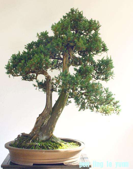 3����ȫ��������