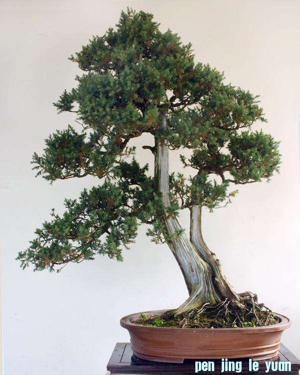 2����ȫ��������