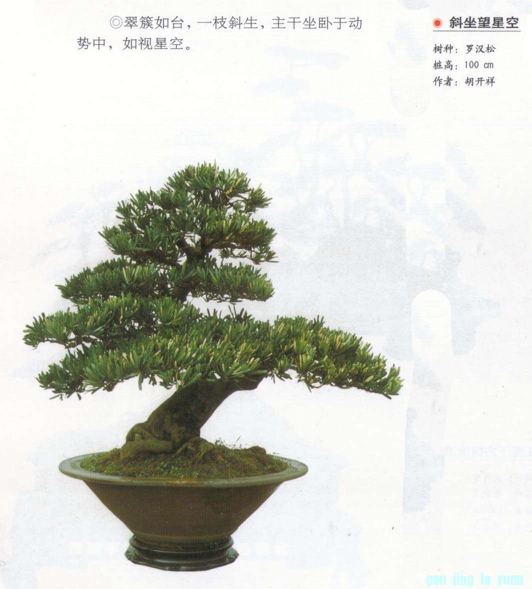 顶бǿա޺.jpg