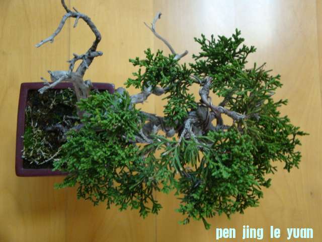 DSC07051.JPG