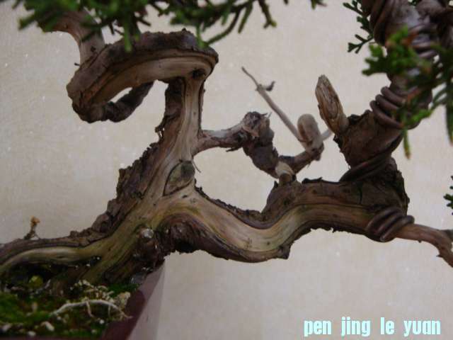 DSC07049.JPG