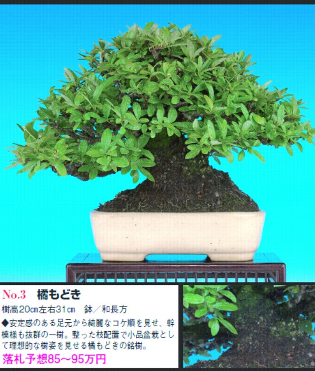 PrtScn20111203231631_.jpg
