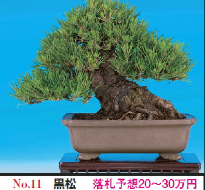 PrtScn20111203233240_.jpg