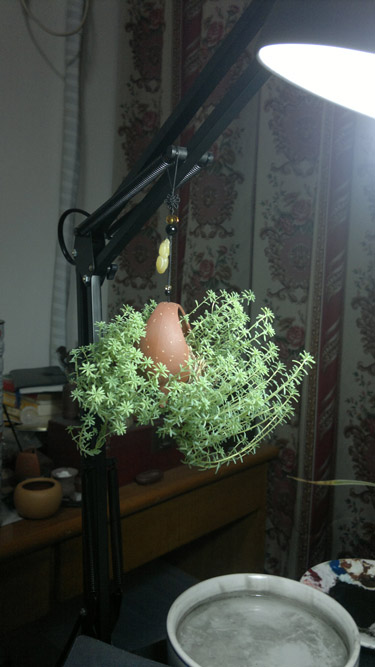 20111205525.jpg