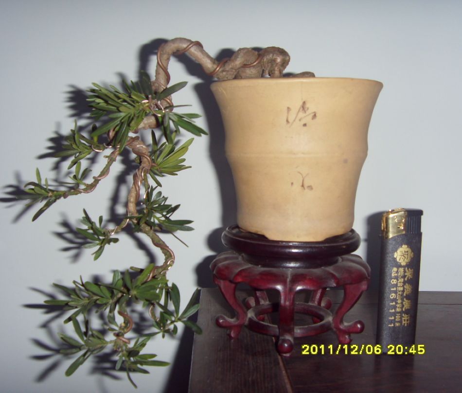 SDC12547.JPG