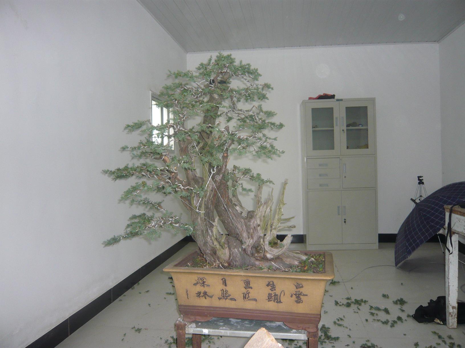 P1030543.JPG