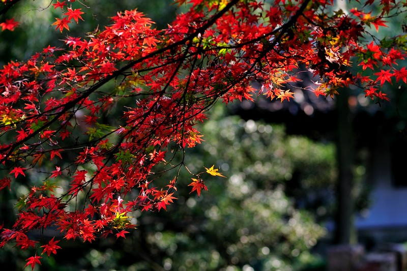 DSC_8935.jpg