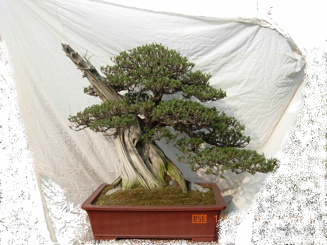 DSCN4710.JPG