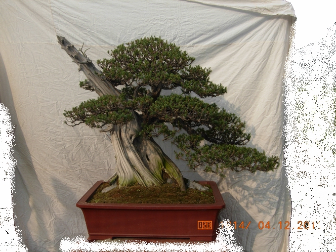 DSCN4711.JPG