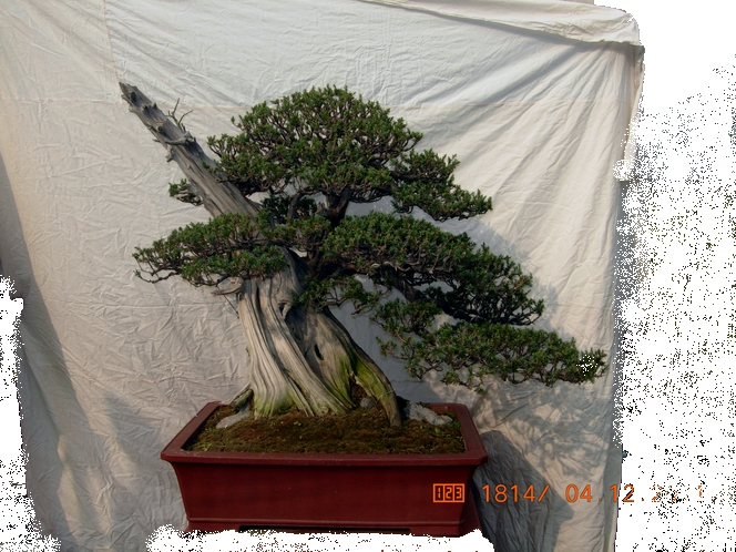 DSCN4712.JPG