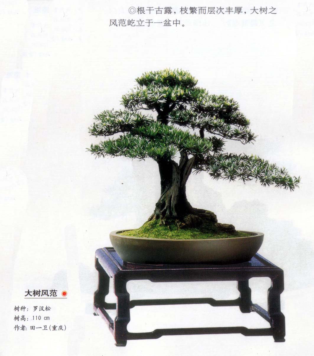 һ緶޺.jpg