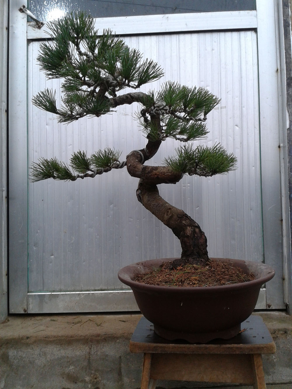 2011-12-08 10.22.59.jpg