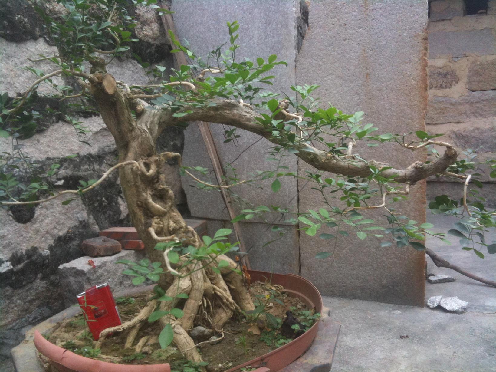 Ƭ 017.jpg