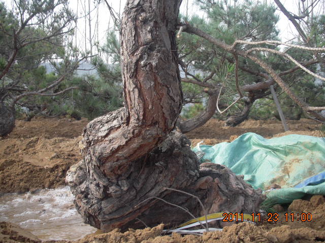 DSCN2205.JPG