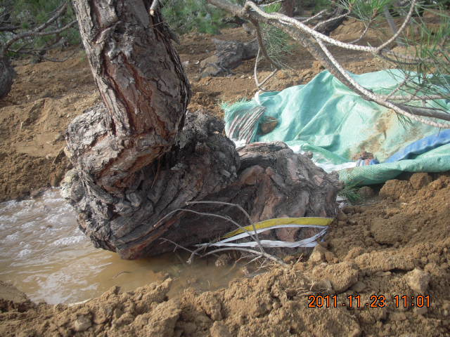 DSCN2206.JPG