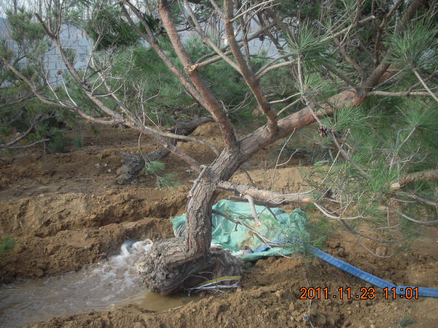 DSCN2207.JPG